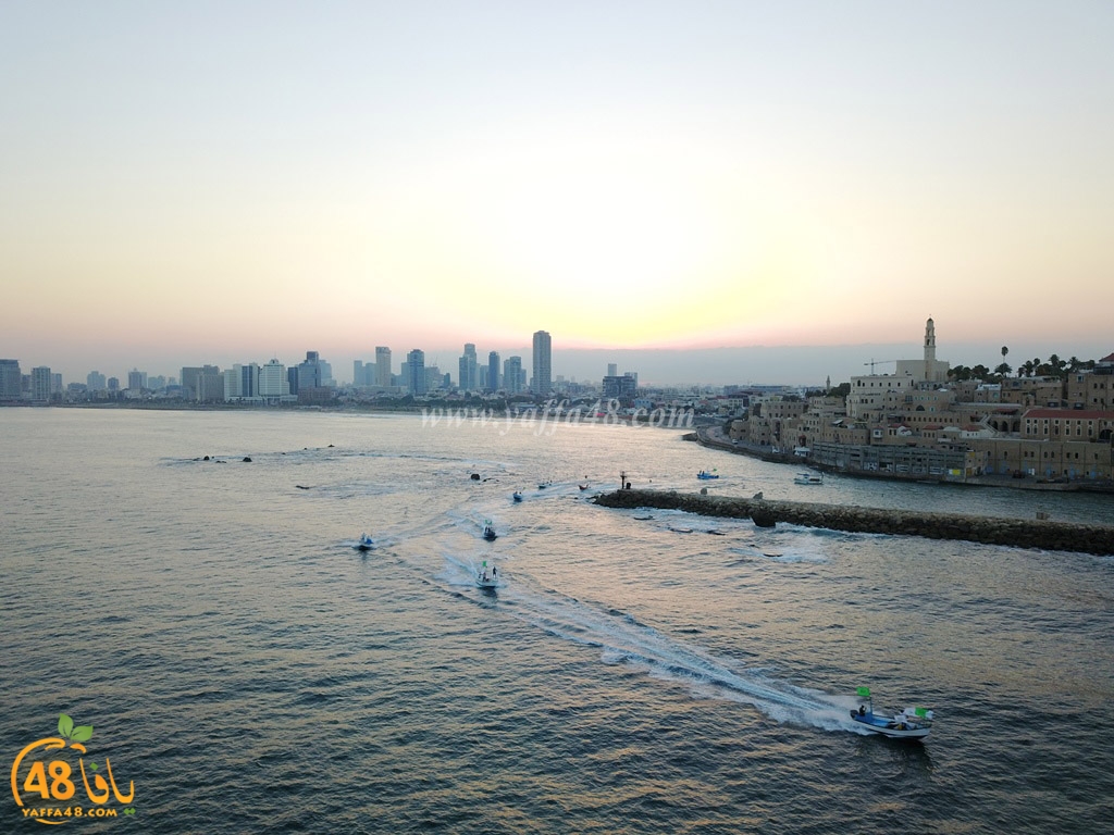 iste3rad sayaden yaffa (47).JPG